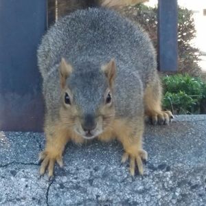 Meet your Posher, April